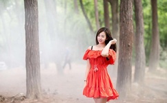 赤祼特工电影国语